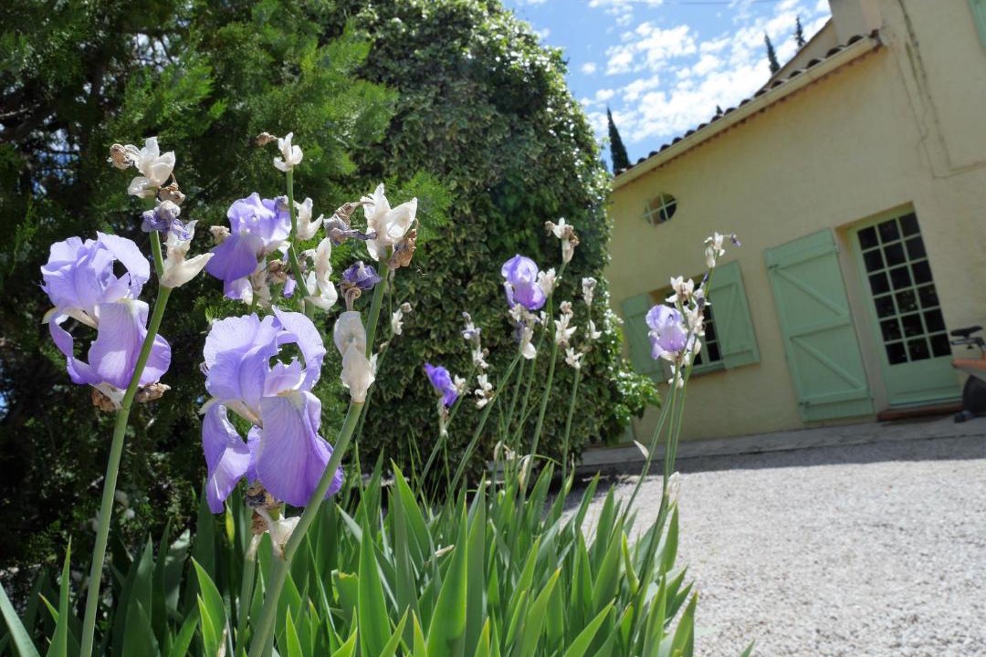 Photo of Others in Salernes