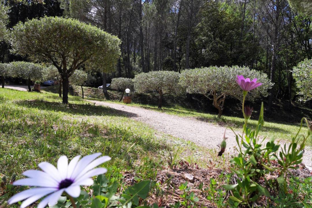 Photo of Outdoor in Salernes