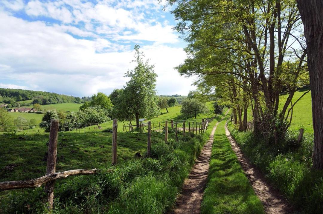 Photo of Others in La Chapelle-Montligeon