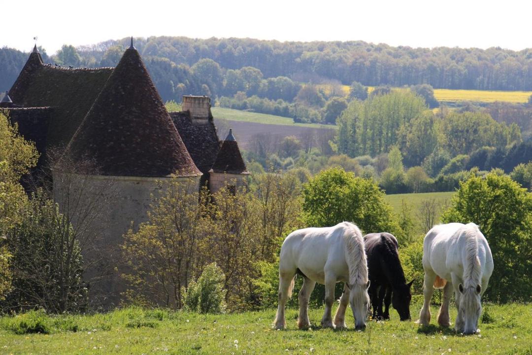 Photo of Others in La Chapelle-Montligeon