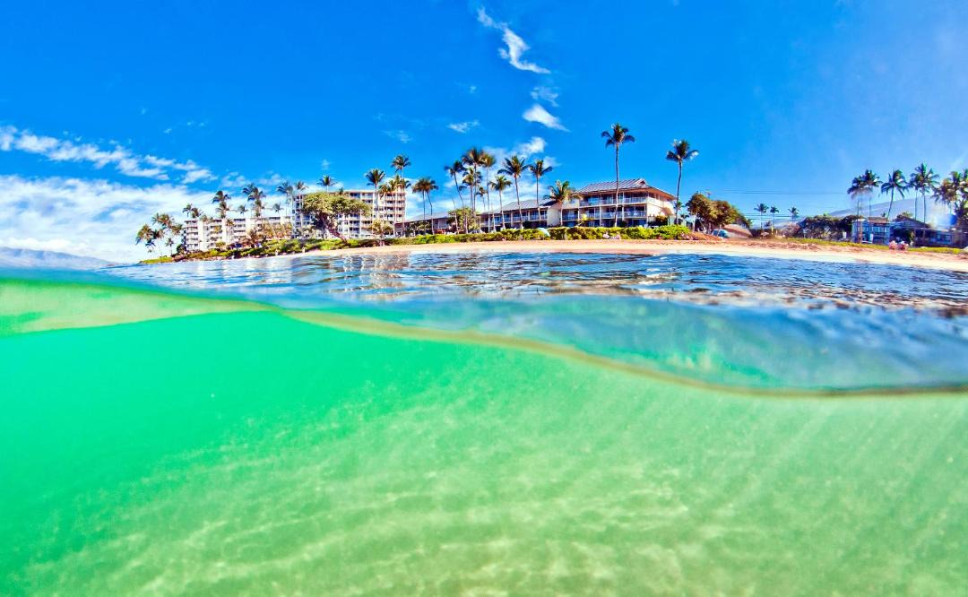 Photo of Others in Kihei