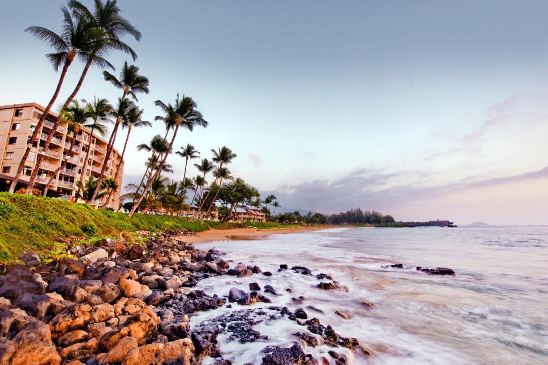 Photo of Others in Kihei