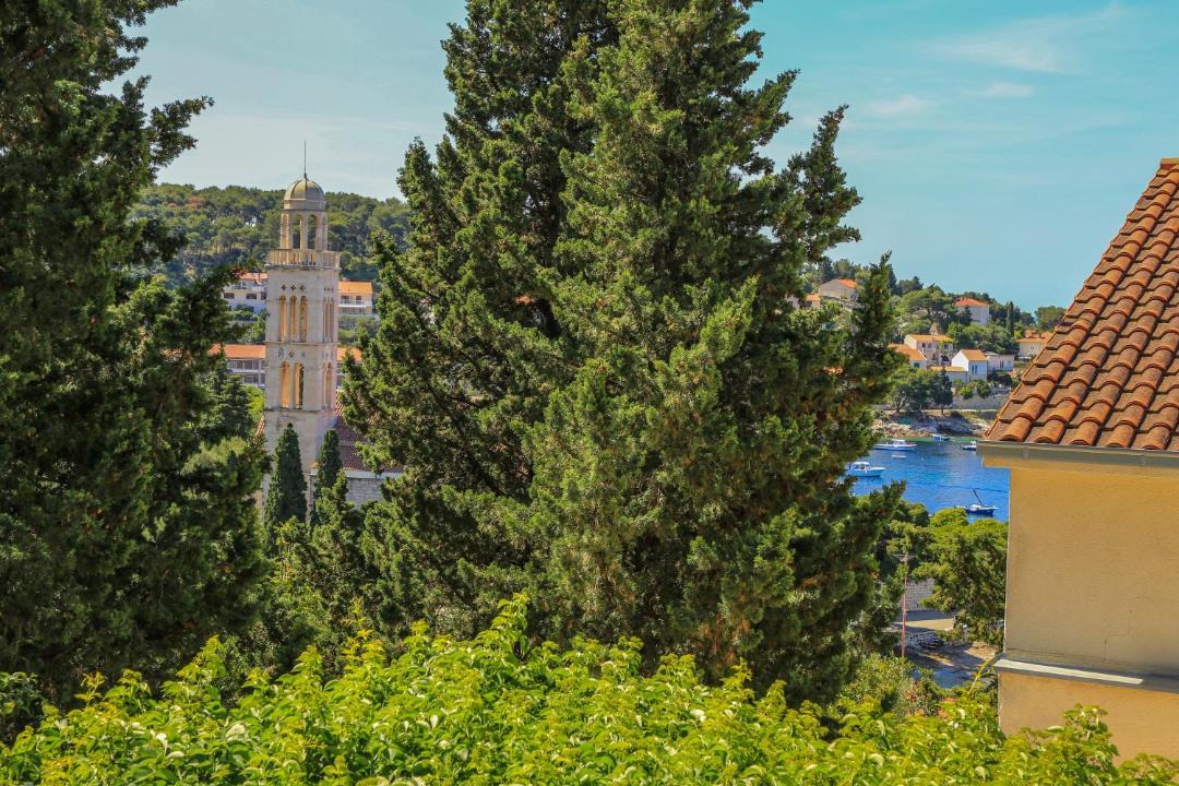 Photo of Others in Hvar Old Town