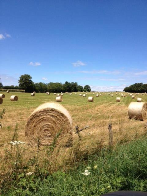 Photo of Others in Monetay-sur-Loire