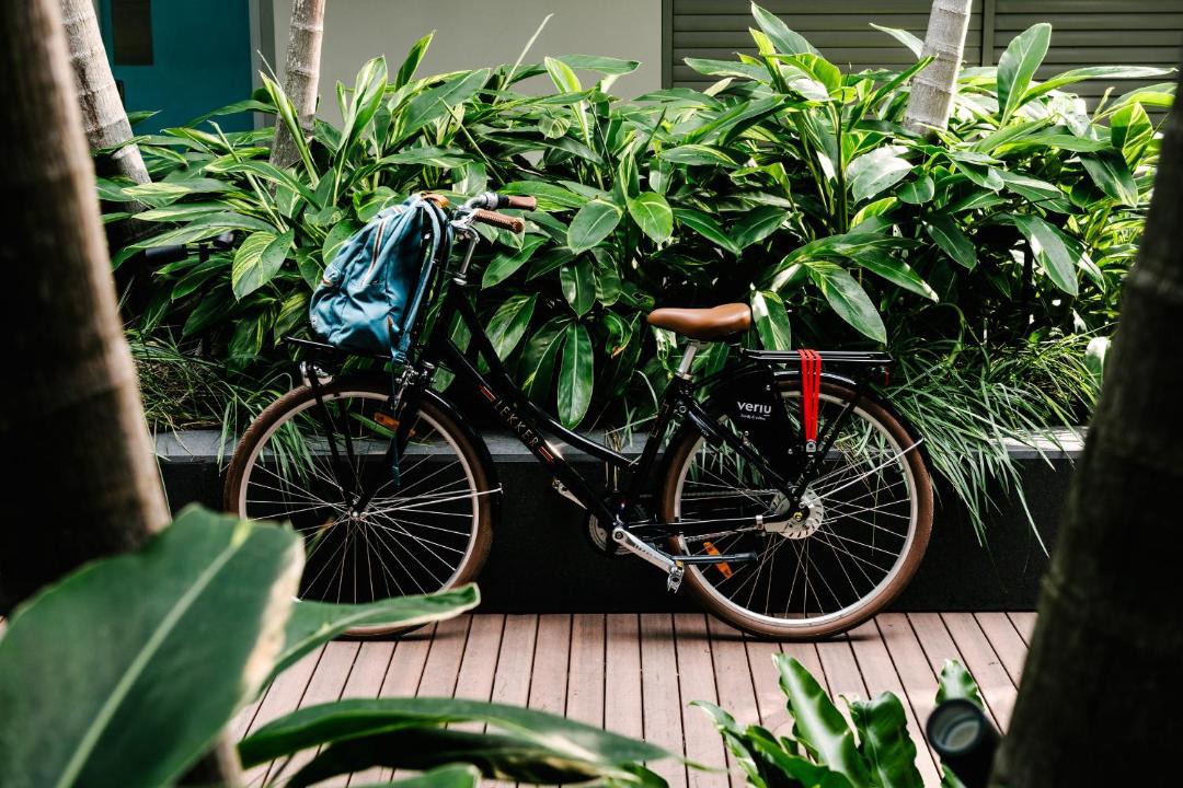 Photo of Others in Camperdown