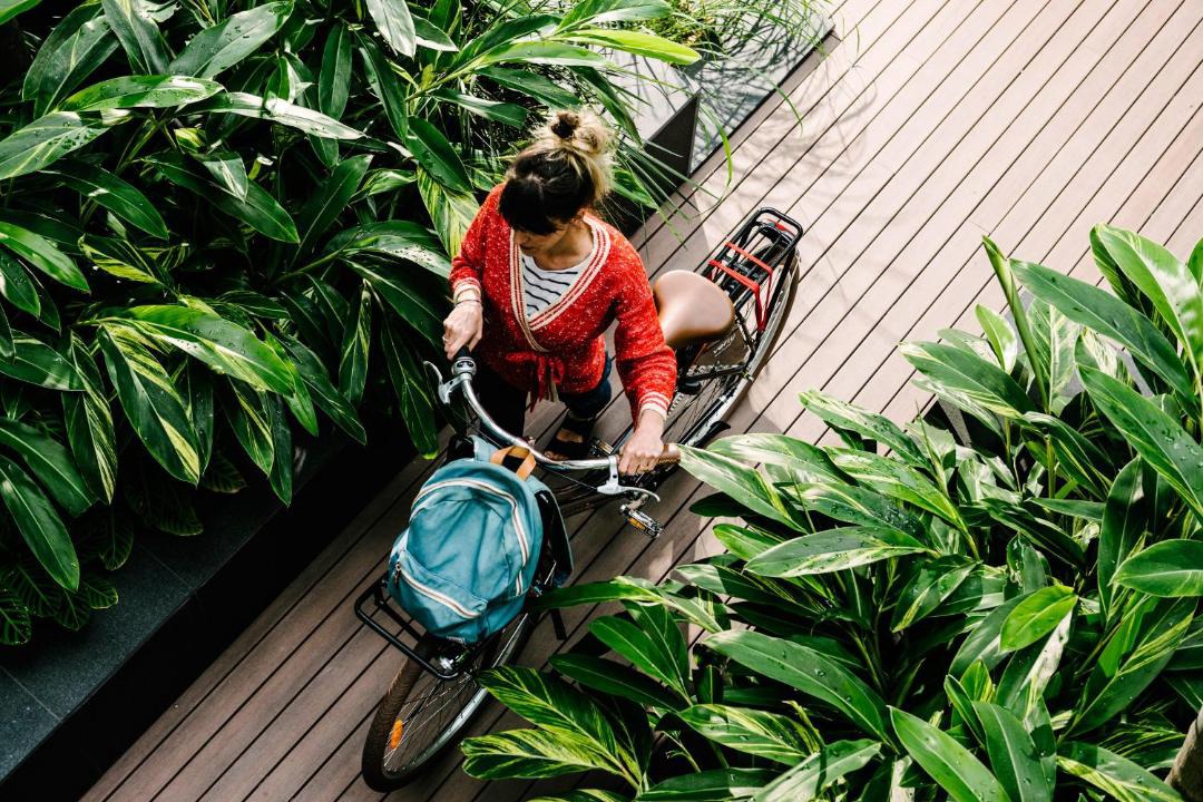 Photo of Others in Camperdown