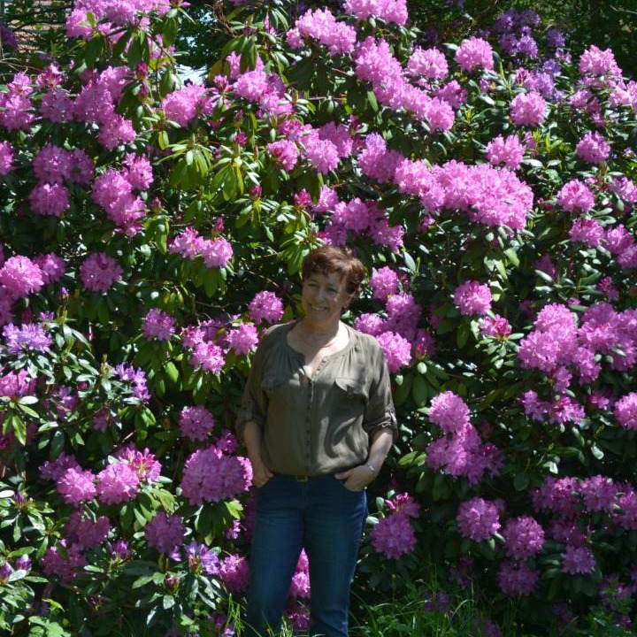 Photo of Others in Lamarche-sur-Saone