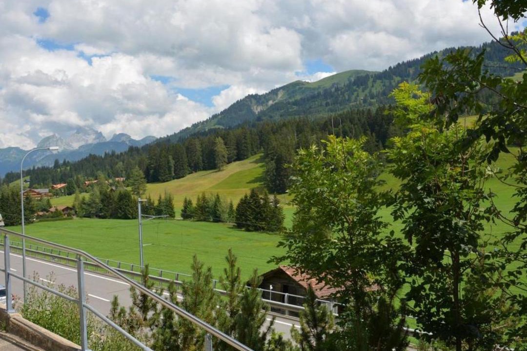 Photo of Outdoor in Saanenmoeser