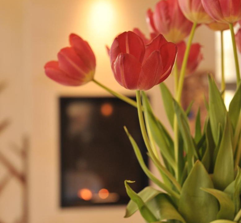 Photo of Others in Wimmenau