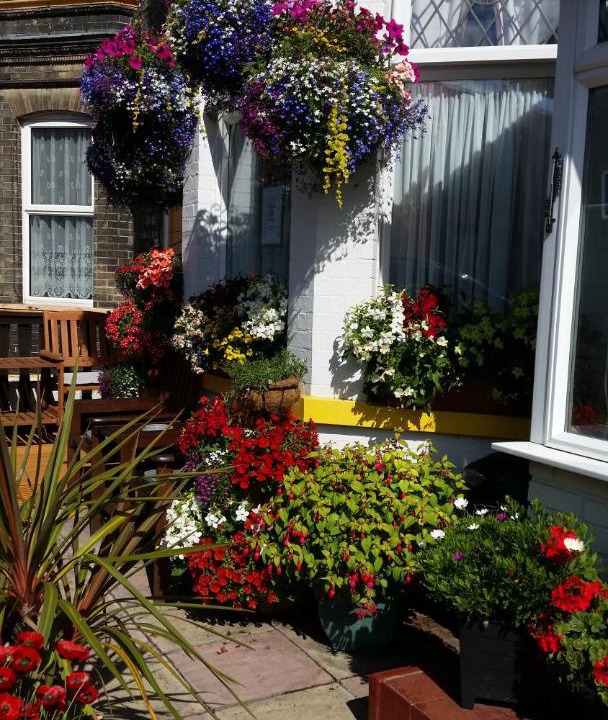 Photo of Others in Great Yarmouth