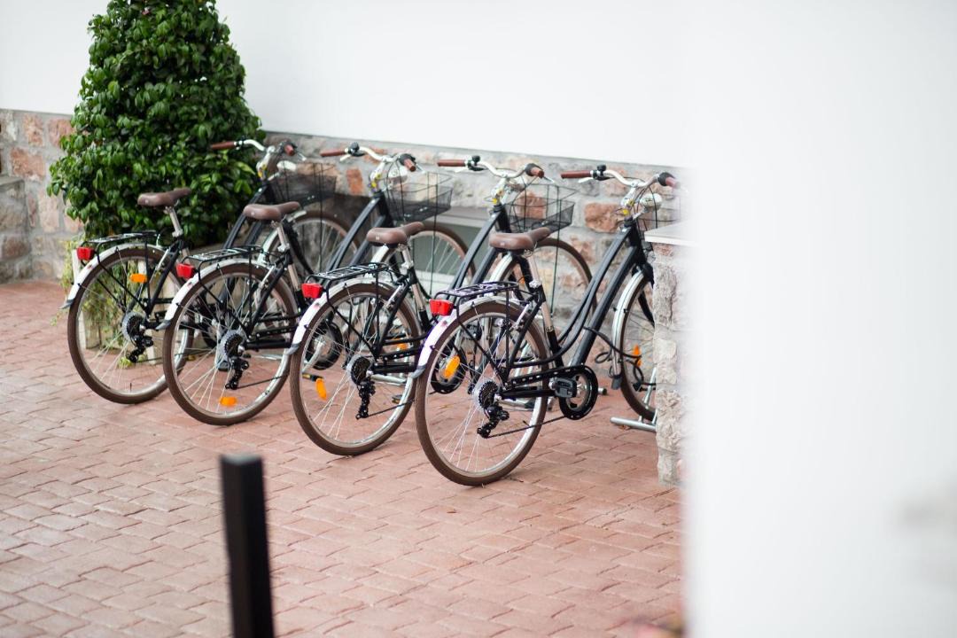 Photo of Others in Hondarribia