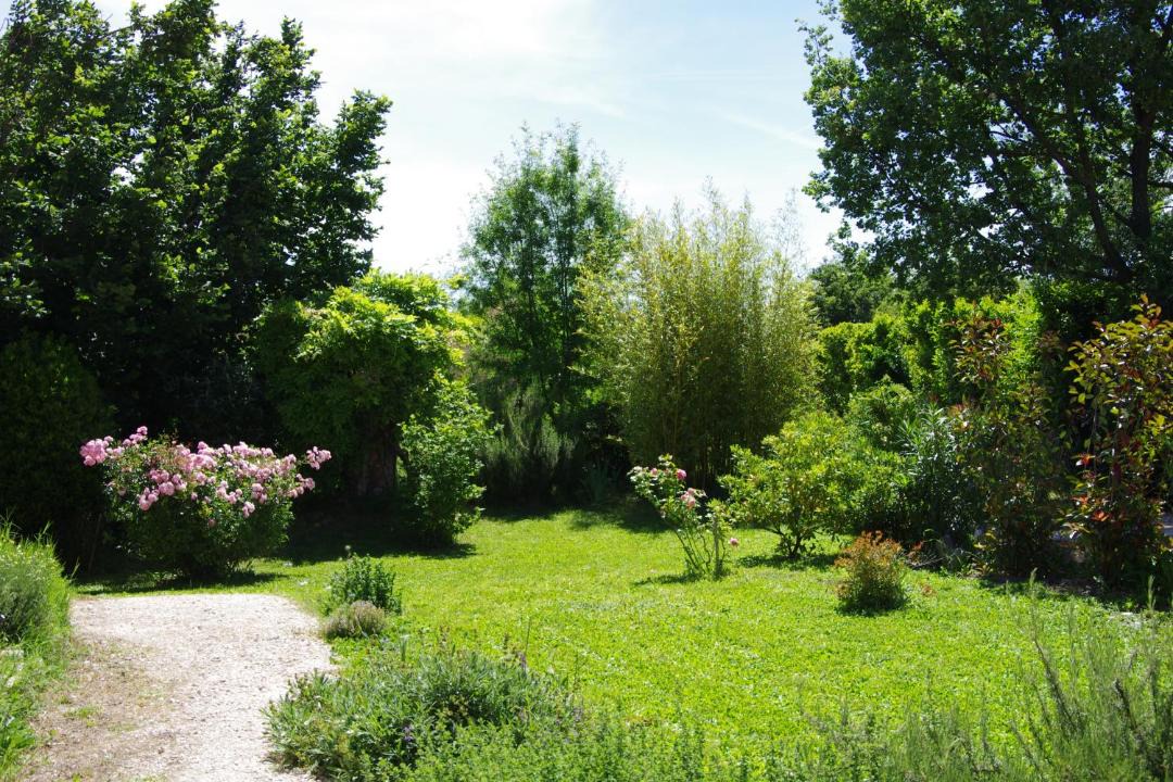 Photo of Others in Senas