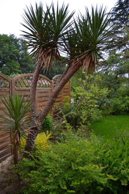 Photo of Others in Haute-Goulaine