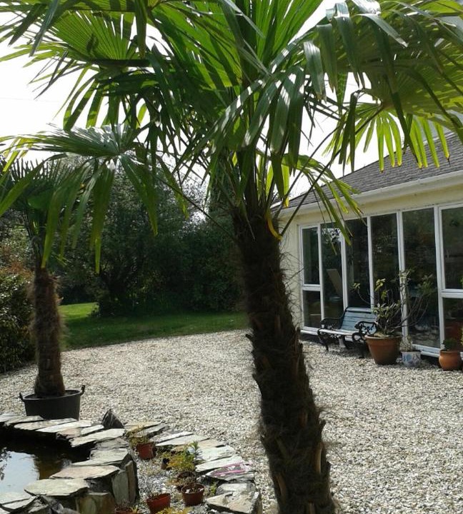 Photo of Others in Ruan High Lanes