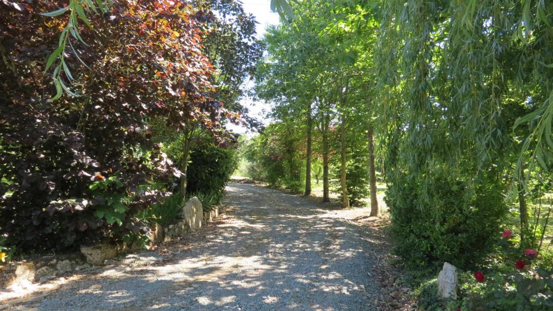 Photo of Outdoor in Chanzeaux