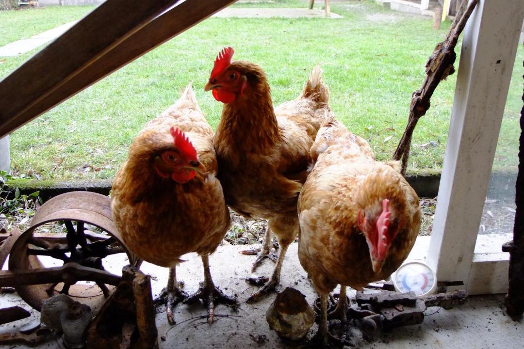 Photo of Others in Montfaucon d'Argonne