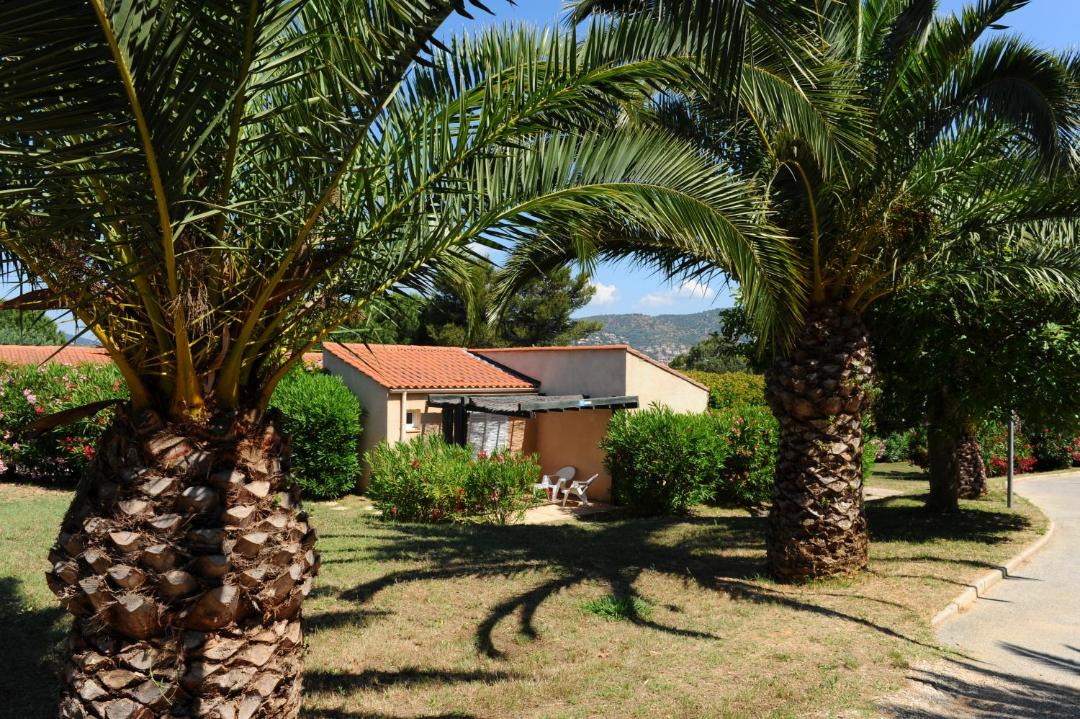 Photo of Others in Bormes-Les-Mimosas