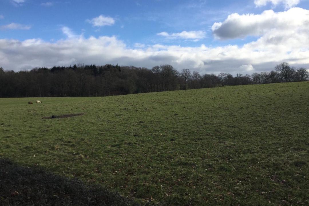 Photo of Others in Scaynes Hill