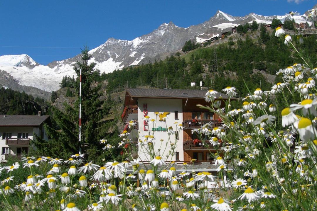 Photo of Others in Saas Grund