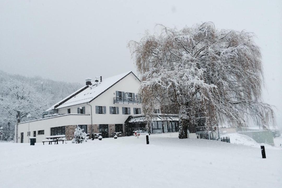 Photo of Others in Rott