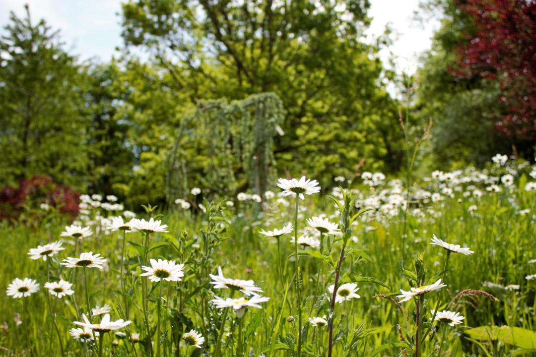 Photo of Outdoor in Saint-Leger-la-Montagne