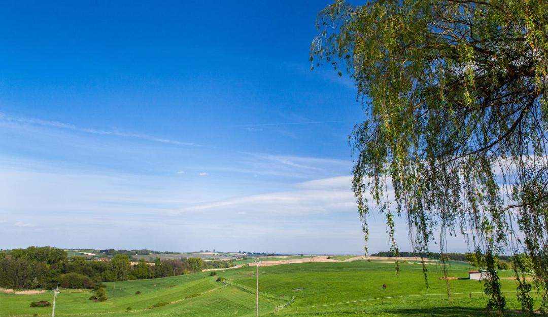 Photo of Others in Rott