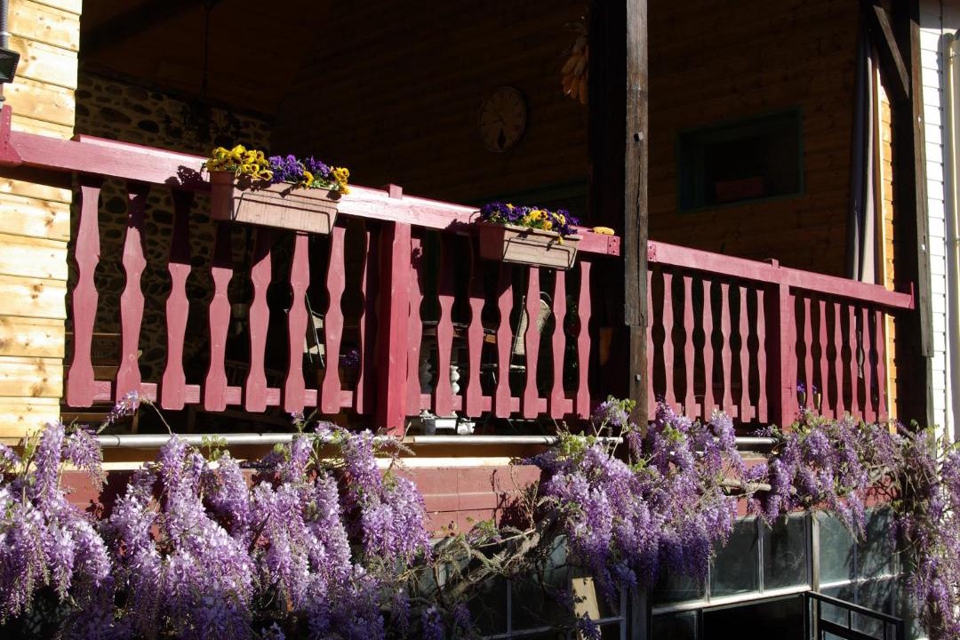 Photo of Others in Navarrenx