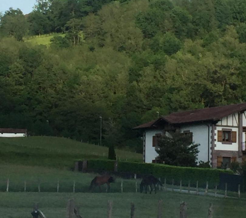 Photo of Others in Oronoz