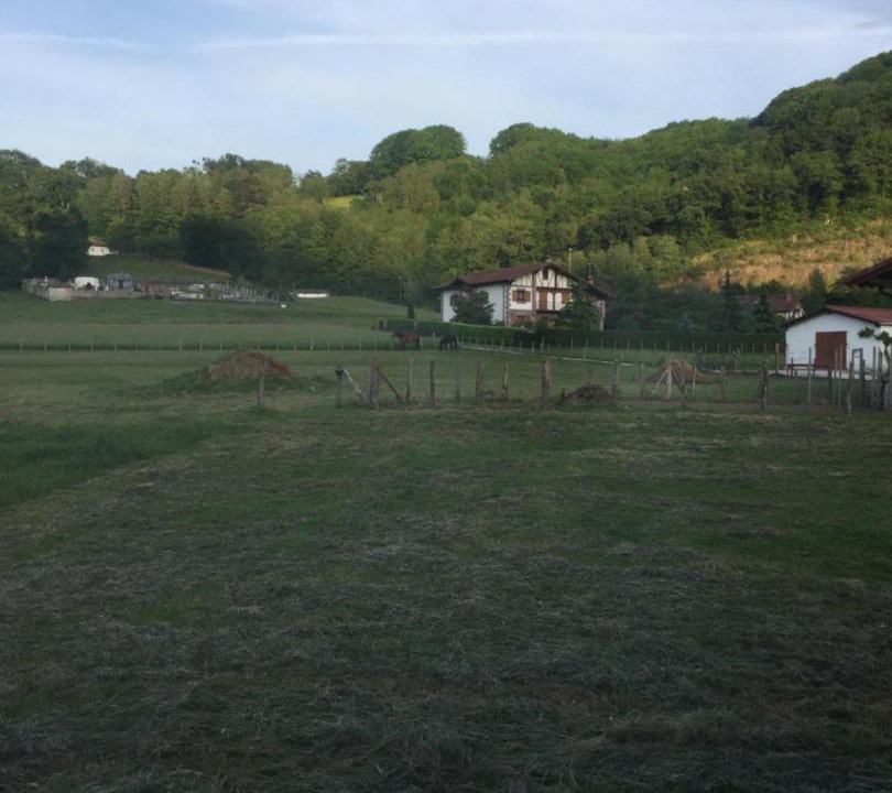 Photo of Others in Oronoz