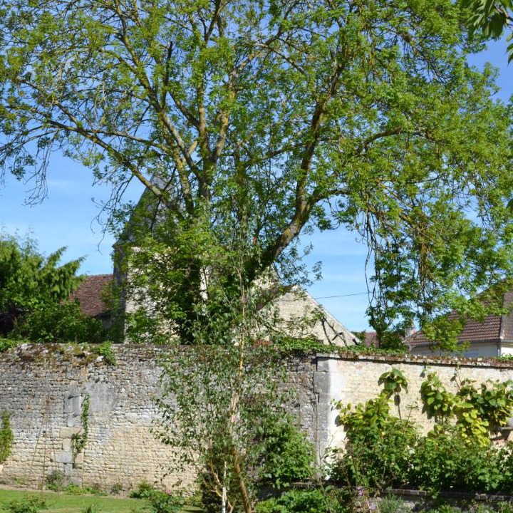 Photo of Others in Falaise