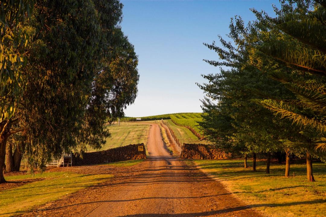 Photo of Buildings in Myrrhee