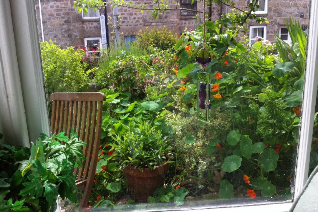 Photo of Others in St Ives