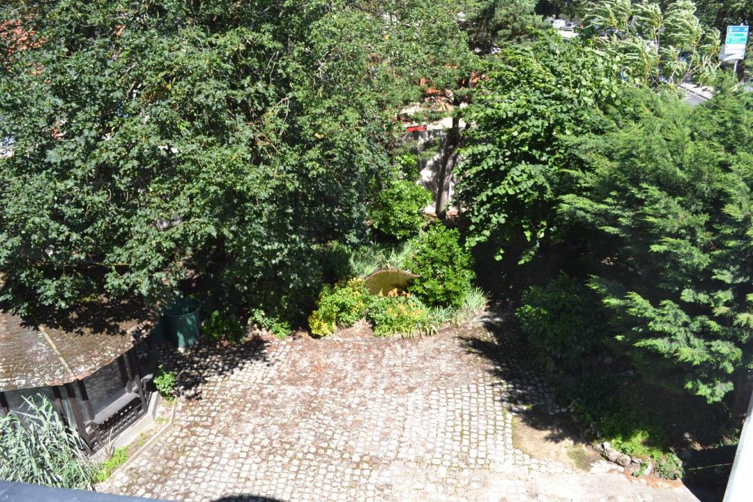 Photo of Others in Saint-Cyr-sur-Loire