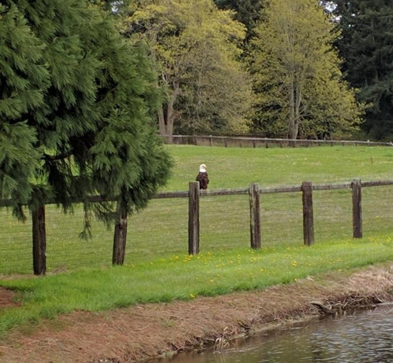 Photo of Others in Oak Harbor