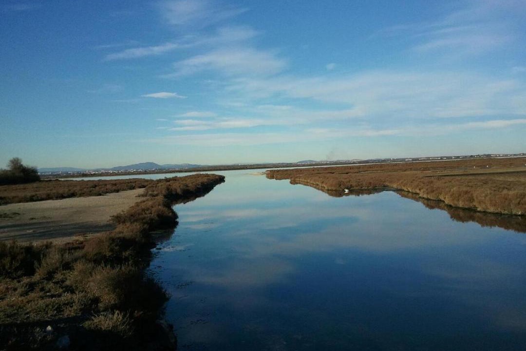 Photo of Others in Villeneuve-les-Maguelone