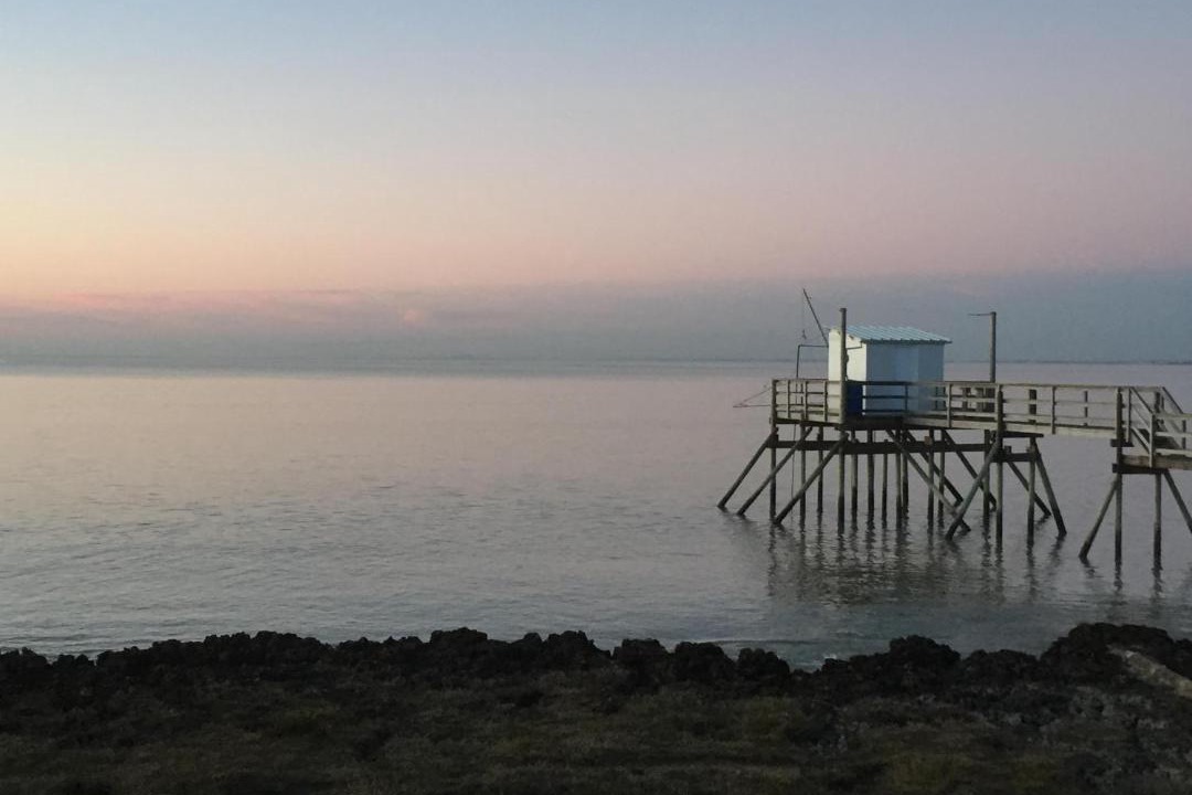 Photo of Others in Fouras