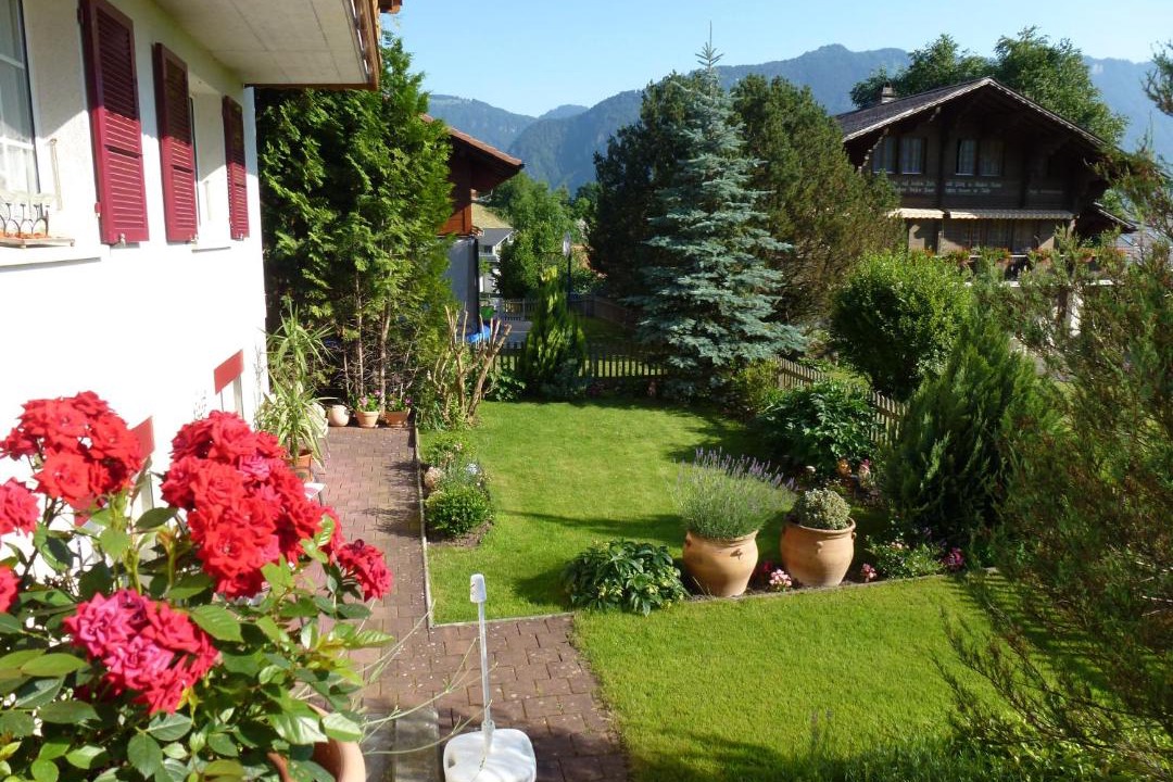 Photo of Others in Wilderswil