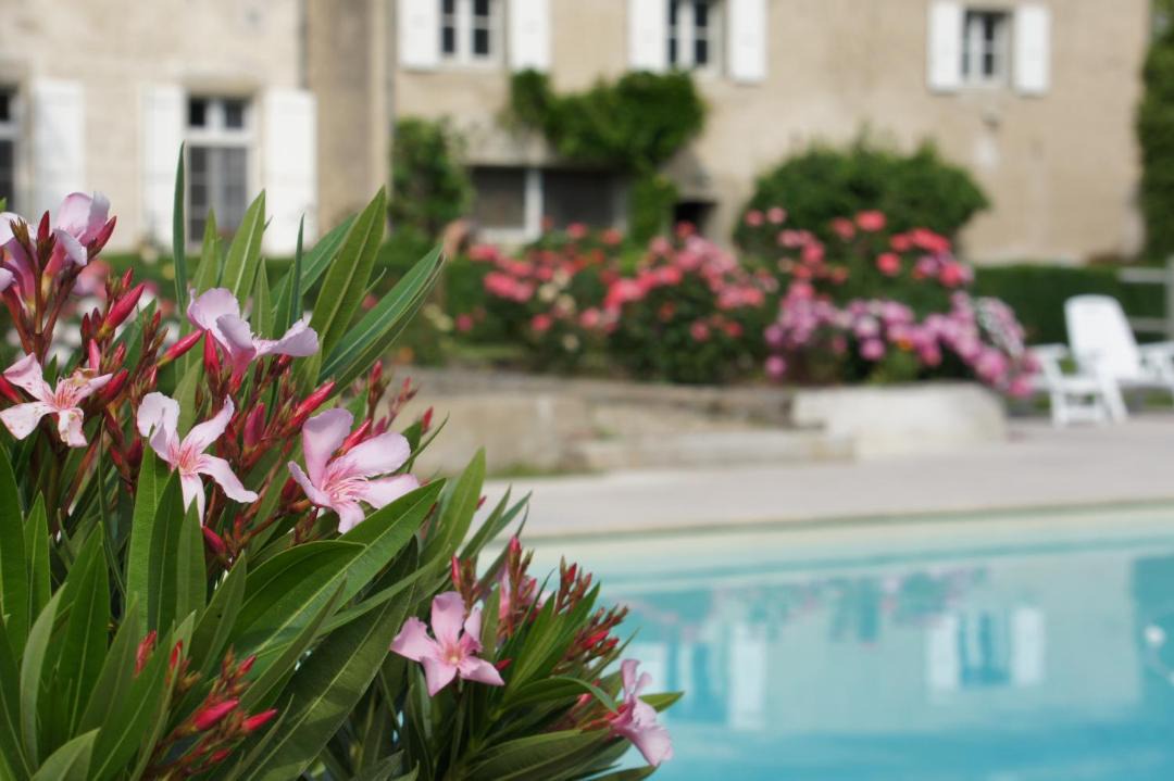 Photo of Others in Vielmur-sur-Agout