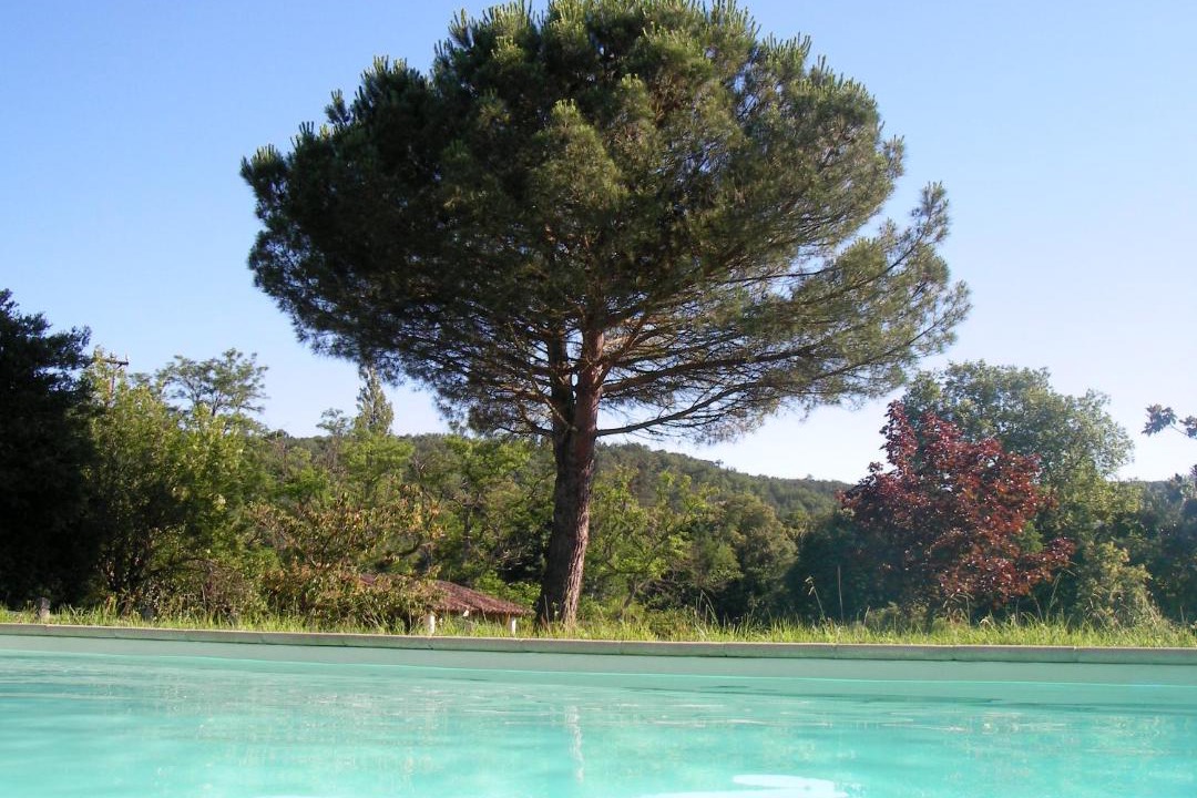 Photo of Others in Vielmur-sur-Agout