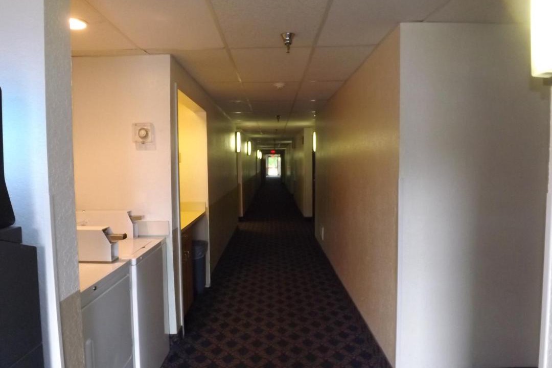 Photo of Others in Sidney