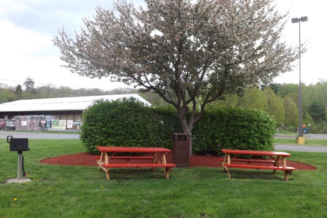 Photo of Outdoor in Sidney