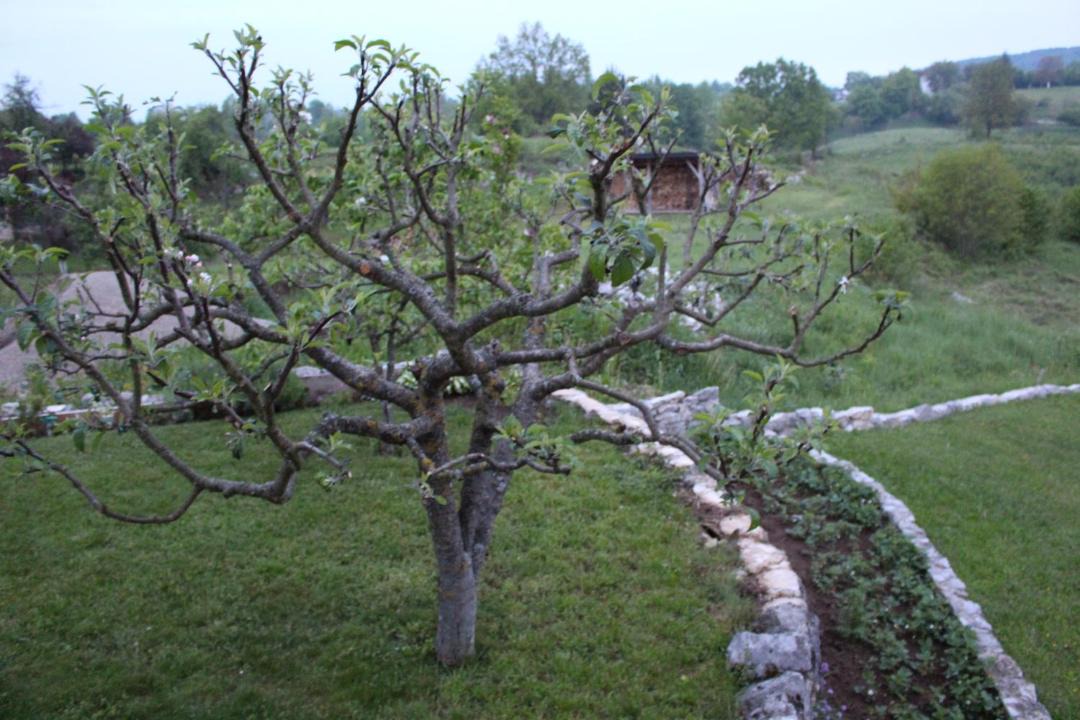 Photo of Outdoor in Slunj