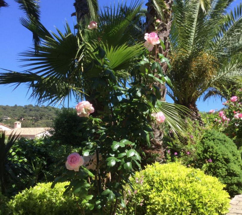 Photo of Others in La Croix-Valmer