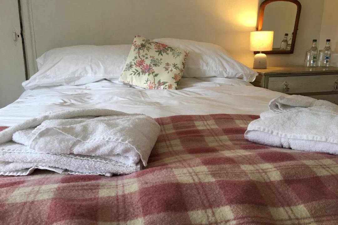 Photo of Others in Kingston