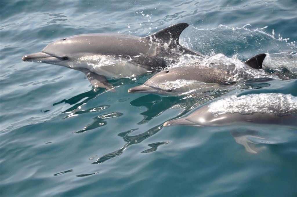 Photo of Others in Eden