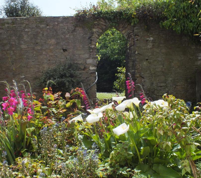 Photo of Others in Brixham