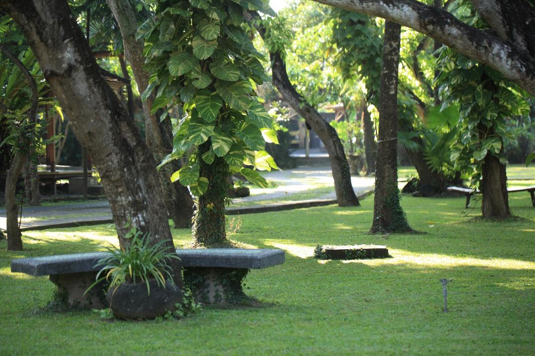 Photo of Others in Kuta