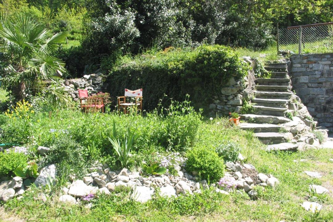 Photo of Others in Golino