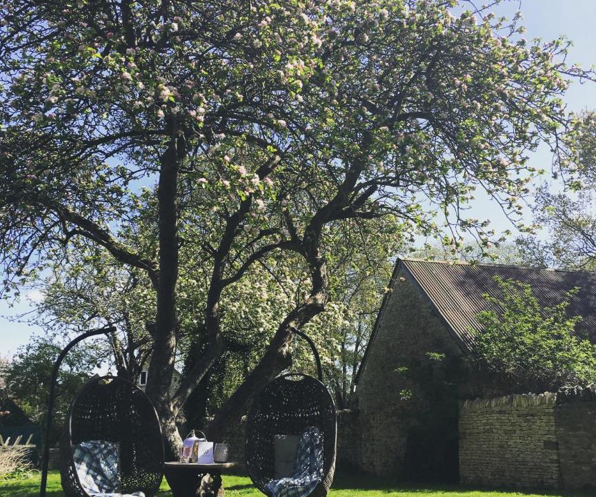 Photo of Others in Shipton under Wychwood