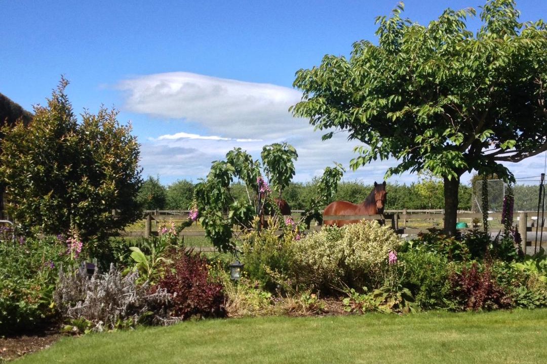 Photo of Others in Whakatu